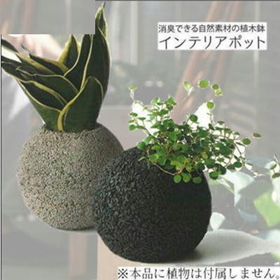 ベーシックインテリアポット(大)　※種類指定不可