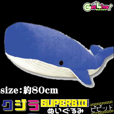 ＊CC-33-02　【Blue】クジラSUPERBIGぬいぐるみ(ビビッド)　