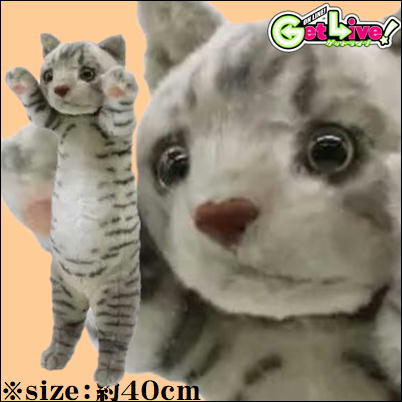 ＊I-08-01　【サバトラ】たっちぃZooにゃんこ ライト　【3/16入荷】