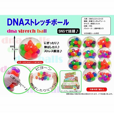 DNA ストレッチボール　※種類指定不可（ターゲットはBOXですが、獲得は1種になります）【4/5入荷】