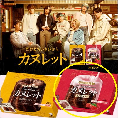 【ストロベリー】カヌレットよくばりBOX【賞味期限:2024/1・5/31入荷】