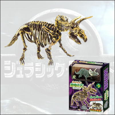 【トリケラトプス】チャレンジ！恐竜化石発掘セット【5/31入荷】