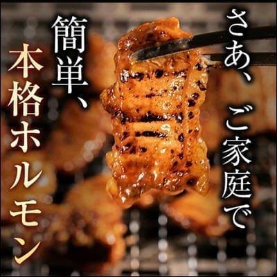 ◇★配送チケット付き★牛みそホルモン(500g)　※直送品・配送日時指定不可