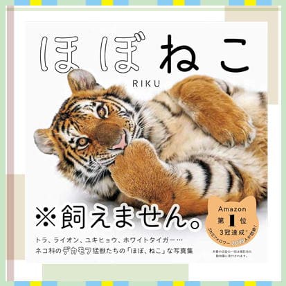 ◇ほぼねこ　※後日発送品・配送日時指定不可