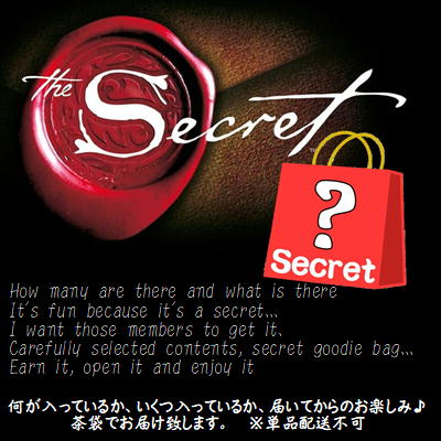 ★チケットOK★SECRET Bag