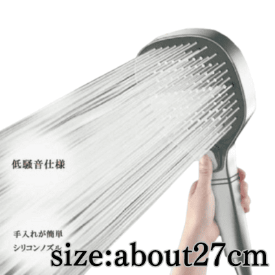 [Silver] The ultimate experience: Celebrity shower head