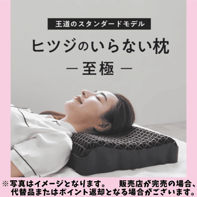 ◇★配送チケット付き★ヒツジのいらない枕 至極(テンセル枕カバー付)　※後日発送対象品・配送日時指定不可