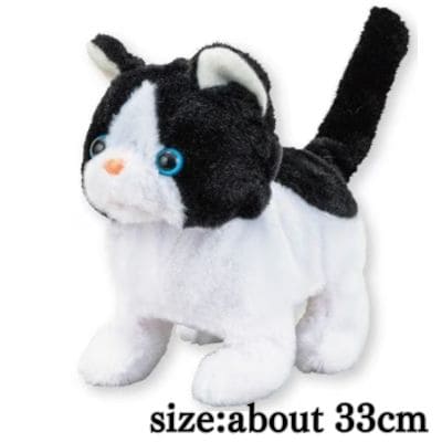 [Hachiware cat (black)] Kittens walking around and meowing