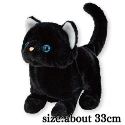 [Black cat] Kittens walking around and meowing