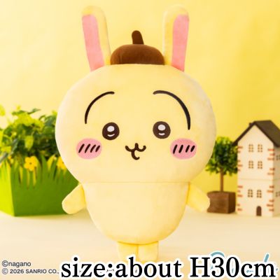 【Charge & Get】 【Usagi × Pompompurin】 Chiikawa × Sanrio Characters BIG Plush Vol.2 ※Target item / Slight stains
