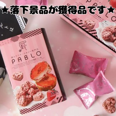 ■PABLO Crunch Chocolate Book Box Strawberry Cheese Tart [Best Before Date: 2026/09/22]