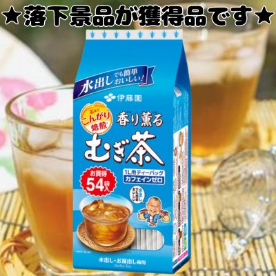 ■ Ito En Aromatic Barley Tea [Best Before: October 2027]