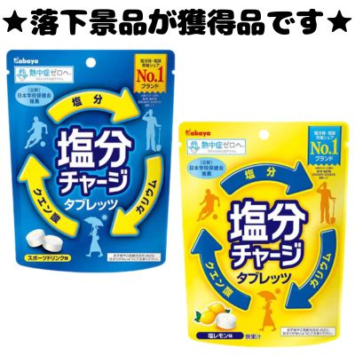 ■ Salt Replenishment Mix [Best Before: August 2028]
